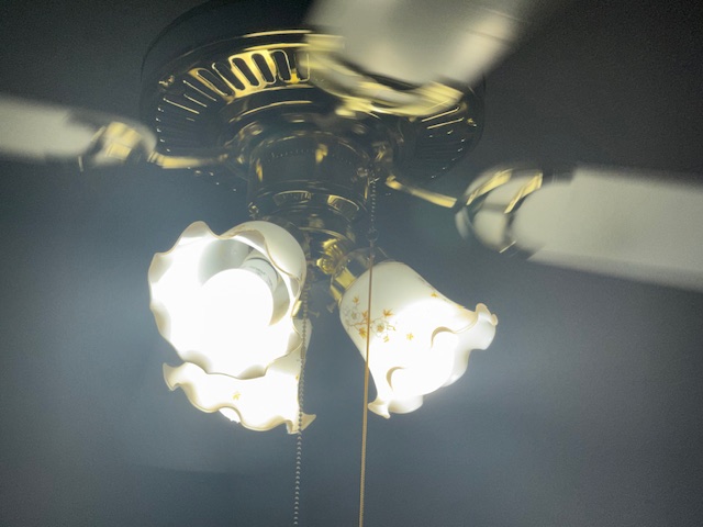 Older ceiling fan light kit upgraded with LED bulbs and decorative glass shades