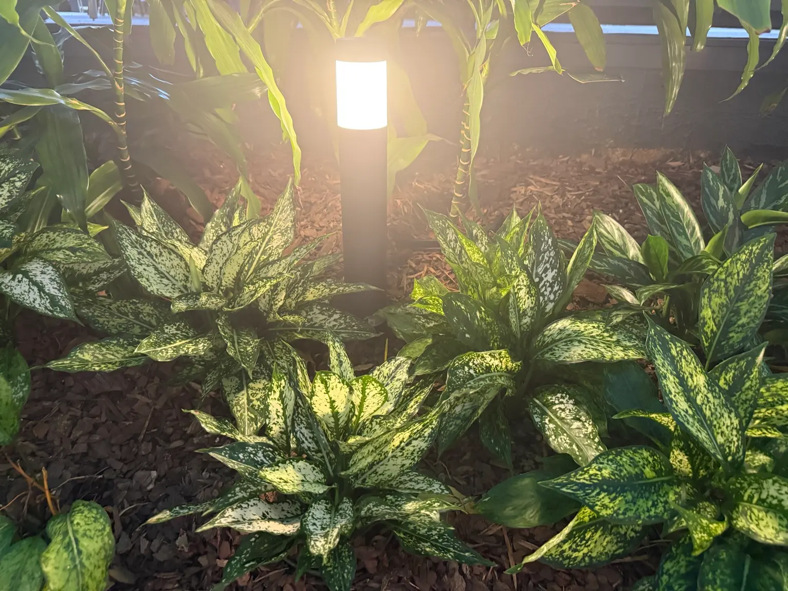 Warm bollard landscape light among plants showing path lighting brightness and glare considerations