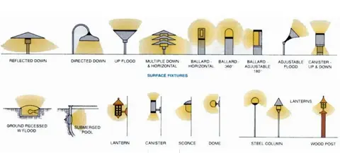 Spotlight beam example on landscape shrubs and trees at night